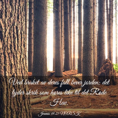 Picture 03 - Jeremia 49:21 NORSK - Ved braket av deres fall bever jorden; det lyder - Bible Verse Picture