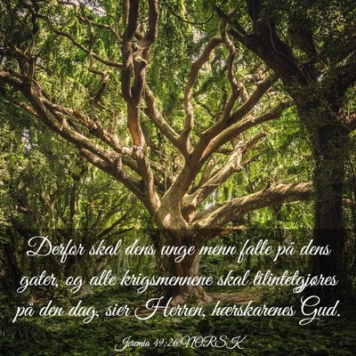 Picture 03 - Jeremia 49:26 NORSK - Derfor skal dens unge menn falle på dens gater, - Bible Verse Picture
