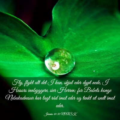 Picture 03 - Jeremia 49:30 NORSK - Fly, flykt alt det I kan, skjul eder dypt nede, I - Bible Verse Picture