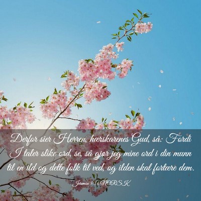Picture 03 - Jeremia 5:14 NORSK - Derfor sier Herren, hærskarenes Gud, så: Fordi - Bible Verse Picture