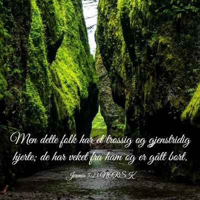 Picture 03 - Jeremia 5:23 NORSK - Men dette folk har et trossig og gjenstridig - Bible Verse Picture