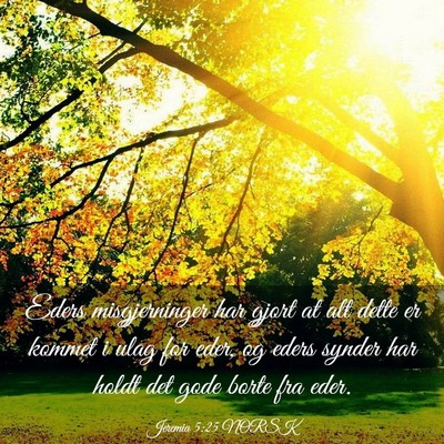 Picture 03 - Jeremia 5:25 NORSK - Eders misgjerninger har gjort at alt dette er - Bible Verse Picture