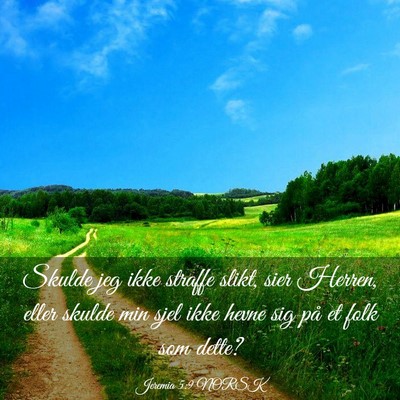 Picture 03 - Jeremia 5:9 NORSK - Skulde jeg ikke straffe slikt, sier Herren, eller - Bible Verse Picture