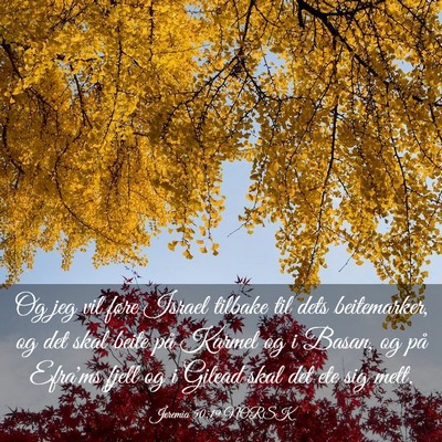 Picture 03 - Jeremia 50:19 NORSK - Og jeg vil føre Israel tilbake til dets - Bible Verse Picture