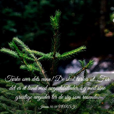 Picture 03 - Jeremia 50:38 NORSK - Tørke over dets vann! De skal tørkes ut. For - Bible Verse Picture