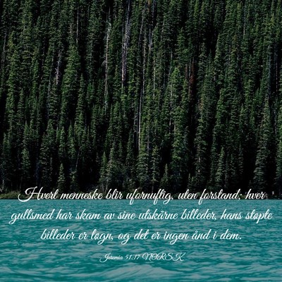 Picture 03 - Jeremia 51:17 NORSK - Hvert menneske blir ufornuftig, uten forstand; - Bible Verse Picture