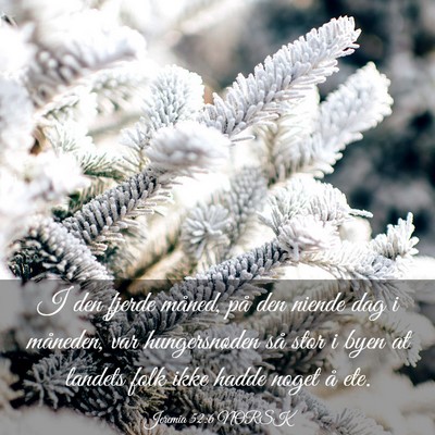 Picture 03 - Jeremia 52:6 NORSK - I den fjerde måned, på den niende dag i - Bible Verse Picture
