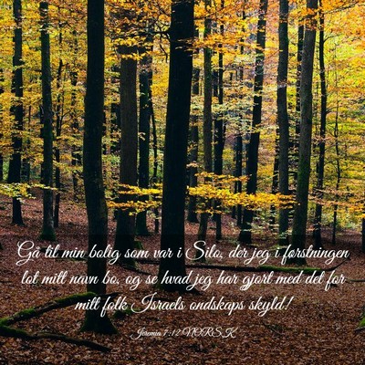 Picture 03 - Jeremia 7:12 NORSK - Gå til min bolig som var i Silo, der jeg i - Bible Verse Picture