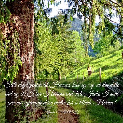 Picture 03 - Jeremia 7:2 NORSK - Still dig i porten til Herrens hus og rop ut der - Bible Verse Picture