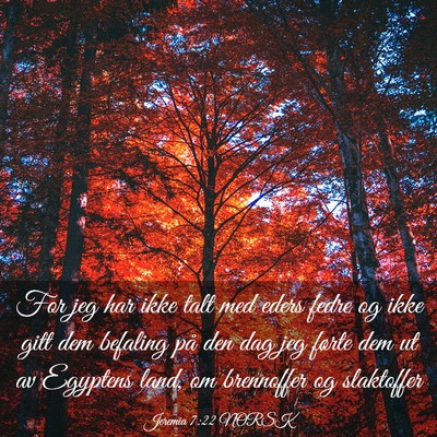 Picture 03 - Jeremia 7:22 NORSK - For jeg har ikke talt med eders fedre og ikke - Bible Verse Picture
