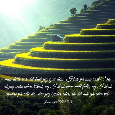 Picture 03 - Jeremia 7:23 NORSK - men dette var det bud jeg gav dem: Hør på min - Bible Verse Picture