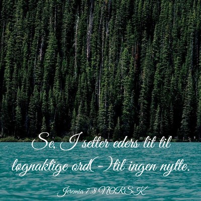 Picture 03 - Jeremia 7:8 NORSK - Se, I setter eders lit til løgnaktige ord(-)til - Bible Verse Picture