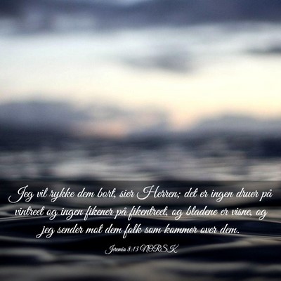 Picture 03 - Jeremia 8:13 NORSK - Jeg vil rykke dem bort, sier Herren; det er ingen - Bible Verse Picture