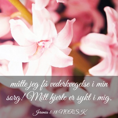 Picture 03 - Jeremia 8:18 NORSK - måtte jeg få vederkvegelse i min sorg! Mitt - Bible Verse Picture
