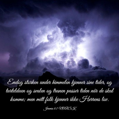 Picture 03 - Jeremia 8:7 NORSK - Endog storken under himmelen kjenner sine tider, - Bible Verse Picture