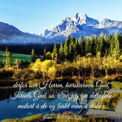 Picture 03 - Jeremia 9:15 NORSK - derfor sier Herren, hærskarenes Gud, Israels - Bible Verse Picture