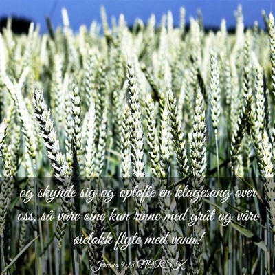 Picture 03 - Jeremia 9:18 NORSK - og skynde sig og opløfte en klagesang over oss, - Bible Verse Picture
