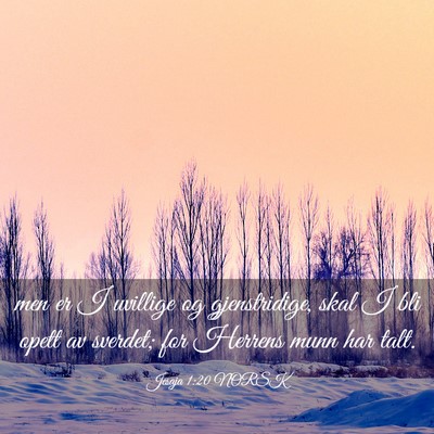 Picture 03 - Jesaja 1:20 NORSK - men er I uvillige og gjenstridige, skal I bli - Bible Verse Picture