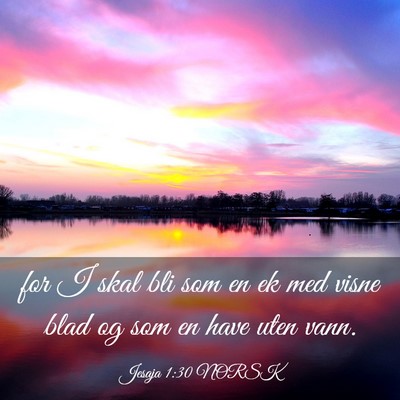 Picture 03 - Jesaja 1:30 NORSK - for I skal bli som en ek med visne blad og som en - Bible Verse Picture