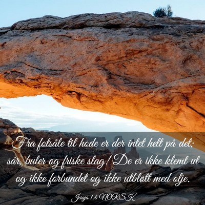 Picture 03 - Jesaja 1:6 NORSK - Fra fotsåle til hode er der intet helt på det; - Bible Verse Picture