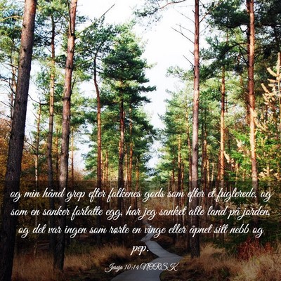 Picture 03 - Jesaja 10:14 NORSK - og min hånd grep efter folkenes gods som efter - Bible Verse Picture