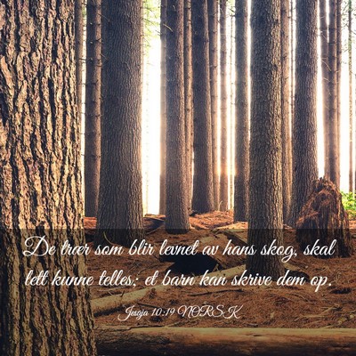 Picture 03 - Jesaja 10:19 NORSK - De trær som blir levnet av hans skog, skal lett - Bible Verse Picture