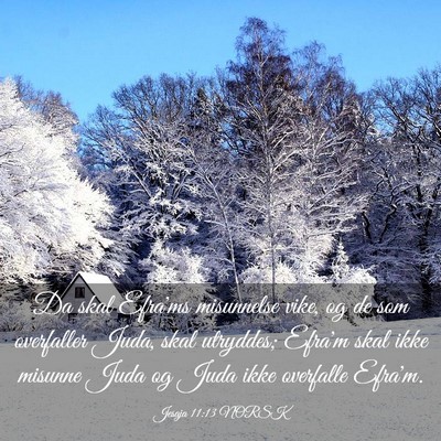 Picture 03 - Jesaja 11:13 NORSK - Da skal Efra'ms misunnelse vike, og de som - Bible Verse Picture