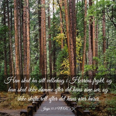 Picture 03 - Jesaja 11:3 NORSK - Han skal ha sitt velbehag i Herrens frykt, og han - Bible Verse Picture