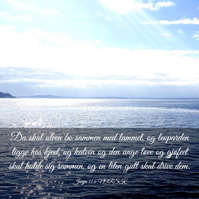 Picture 03 - Jesaja 11:6 NORSK - Da skal ulven bo sammen med lammet, og leoparden - Bible Verse Picture