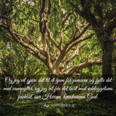 Picture 03 - Jesaja 14:23 NORSK - Og jeg vil gjøre det til et hjem for pinnsvin og - Bible Verse Picture