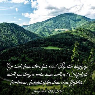 Picture 03 - Jesaja 16:3 NORSK - Gi råd, finn utvei for oss! La din skygge midt - Bible Verse Picture