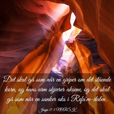 Picture 03 - Jesaja 17:5 NORSK - Det skal gå som når en griper om det stående - Bible Verse Picture