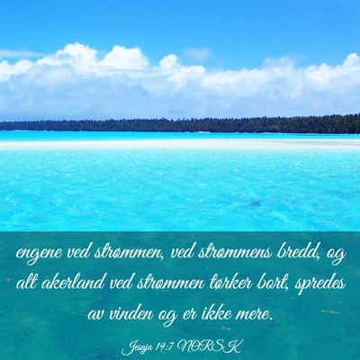 Picture 03 - Jesaja 19:7 NORSK - engene ved strømmen, ved strømmens bredd, og - Bible Verse Picture