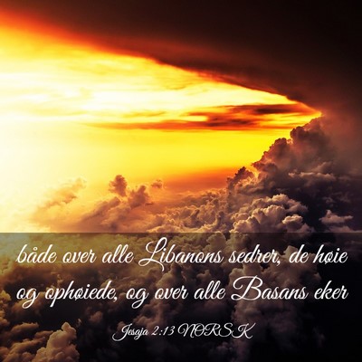 Picture 03 - Jesaja 2:13 NORSK - både over alle Libanons sedrer, de høie og - Bible Verse Picture