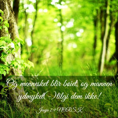 Picture 03 - Jesaja 2:9 NORSK - Og mennesket blir bøiet, og mannen - Bible Verse Picture