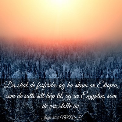 Picture 03 - Jesaja 20:5 NORSK - Da skal de forferdes og ha skam av Etiopia, som - Bible Verse Picture