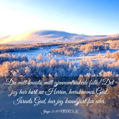 Picture 03 - Jesaja 21:10 NORSK - Du mitt knuste, mitt gjennemtreskede folk! Det - Bible Verse Picture