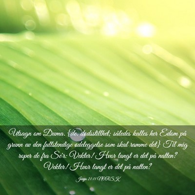 Picture 03 - Jesaja 21:11 NORSK - Utsagn om Duma. {de. dødsstillhet; således - Bible Verse Picture