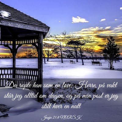 Picture 03 - Jesaja 21:8 NORSK - Da ropte han som en løve: Herre, på vakt står - Bible Verse Picture