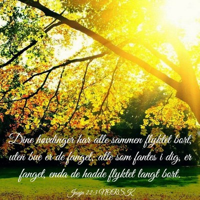 Picture 03 - Jesaja 22:3 NORSK - Dine høvdinger har alle sammen flyktet bort, - Bible Verse Picture