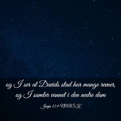Picture 03 - Jesaja 22:9 NORSK - og I ser at Davids stad har mange revner, og I - Bible Verse Picture