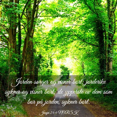Picture 03 - Jesaja 24:4 NORSK - Jorden sørger og visner bort; jorderike sykner - Bible Verse Picture