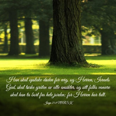 Picture 03 - Jesaja 25:8 NORSK - Han skal opsluke døden for evig, og Herren, - Bible Verse Picture