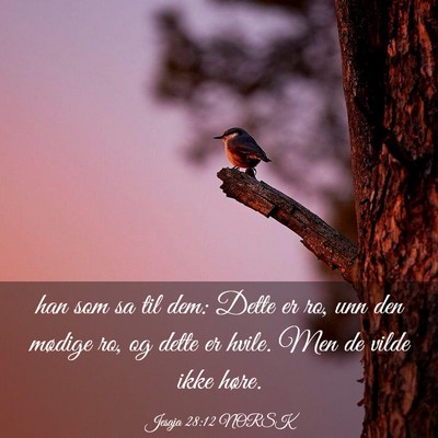 Picture 03 - Jesaja 28:12 NORSK - han som sa til dem: Dette er ro, unn den mødige - Bible Verse Picture