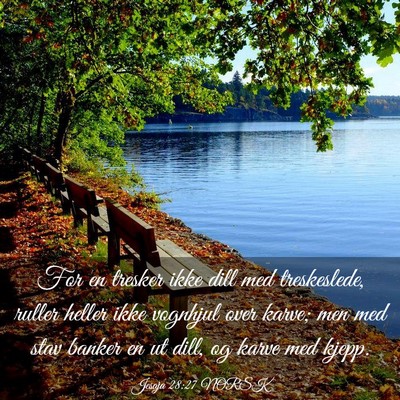 Picture 03 - Jesaja 28:27 NORSK - For en tresker ikke dill med treskeslede, ruller - Bible Verse Picture