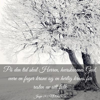 Picture 03 - Jesaja 28:5 NORSK - På den tid skal Herren, hærskarenes Gud, være - Bible Verse Picture