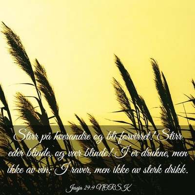 Picture 03 - Jesaja 29:9 NORSK - Stirr på hverandre og bli forvirret! Stirr eder - Bible Verse Picture