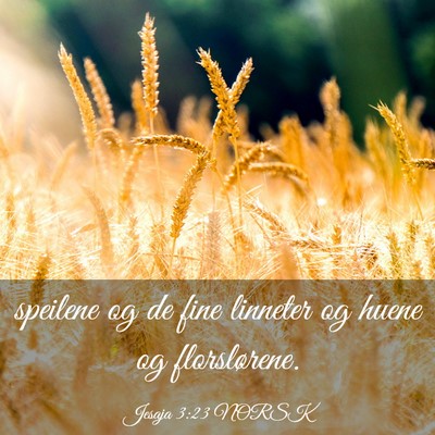 Picture 03 - Jesaja 3:23 NORSK - speilene og de fine linneter og huene og - Bible Verse Picture