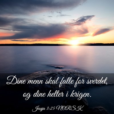 Picture 03 - Jesaja 3:25 NORSK - Dine menn skal falle for sverdet, og dine helter - Bible Verse Picture