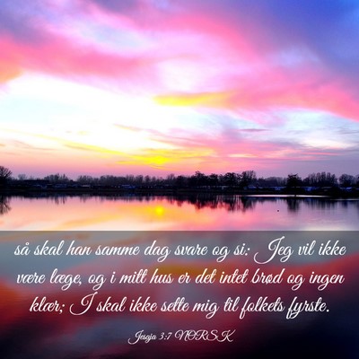 Picture 03 - Jesaja 3:7 NORSK - så skal han samme dag svare og si: Jeg vil ikke - Bible Verse Picture